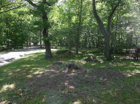 Enlarge photo 37