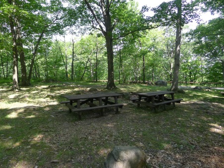 Enlarge photo 39