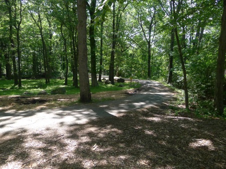 Enlarge photo 41