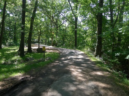 Enlarge photo 42