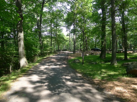 Enlarge photo 43
