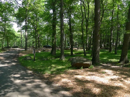 Enlarge photo 44