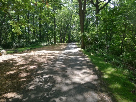 Enlarge photo 45