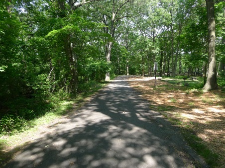 Enlarge photo 47