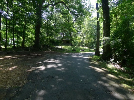 Enlarge photo 48