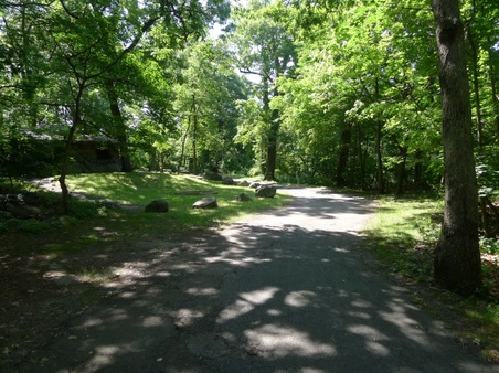 Enlarge photo 49