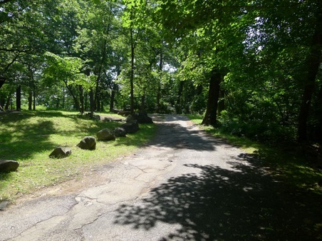 Enlarge photo 51