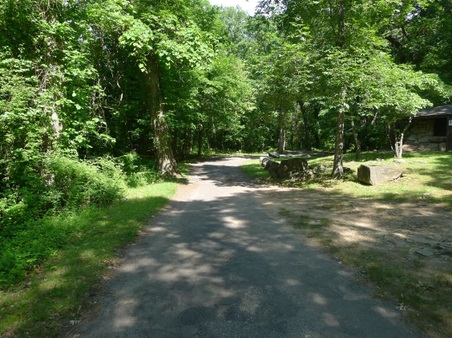 Enlarge photo 52