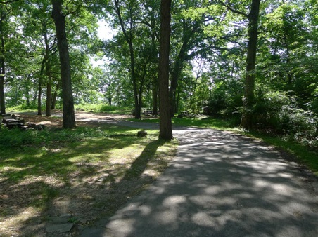 Enlarge photo 53