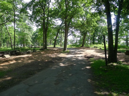 Enlarge photo 54