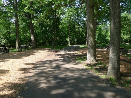 Enlarge photo 55