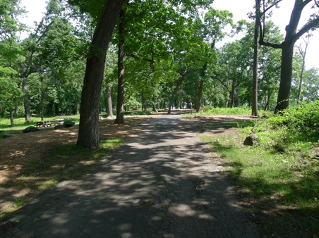 Enlarge photo 56