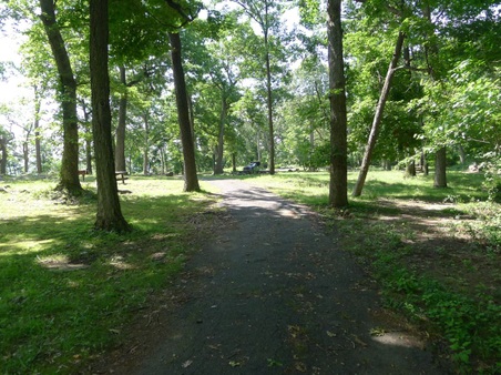Enlarge photo 59