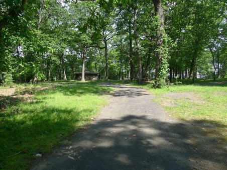 Enlarge photo 61