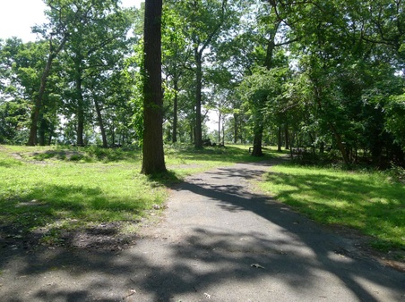 Enlarge photo 62