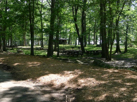 Enlarge photo 66