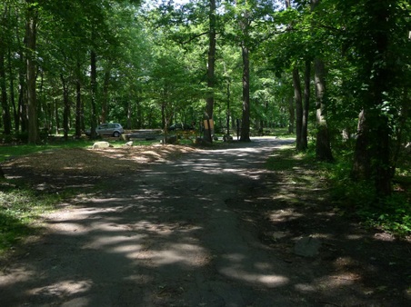 Enlarge photo 68