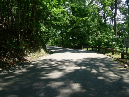 Enlarge photo 74