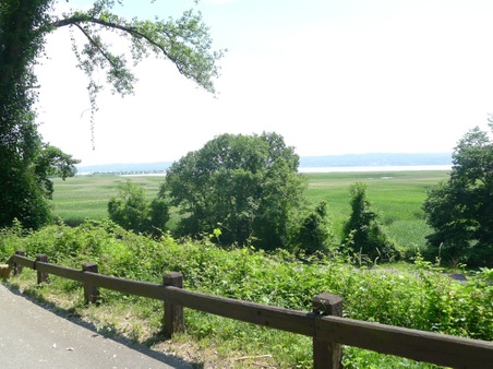 Enlarge photo 79