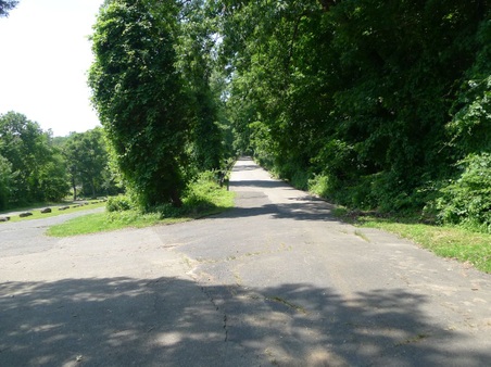 Enlarge photo 81