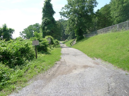 Enlarge photo 90