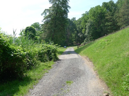 Enlarge photo 91