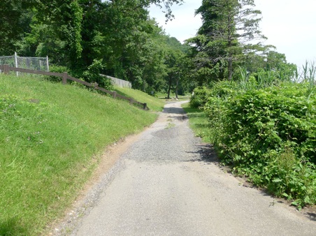Enlarge photo 92