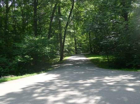 Enlarge photo 97