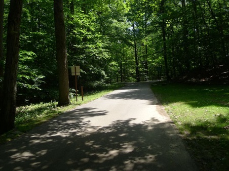 Enlarge photo 99