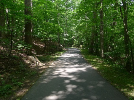 Enlarge photo 103