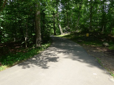 Enlarge photo 107