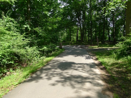 Enlarge photo 109