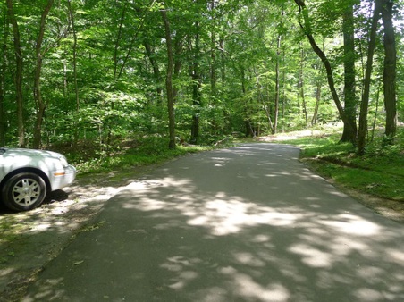 Enlarge photo 113