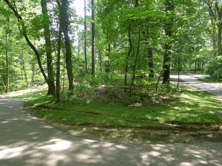 Enlarge photo 114