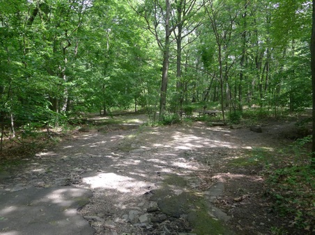 Enlarge photo 117