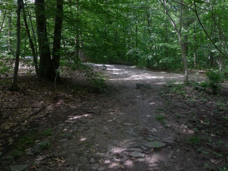 Enlarge photo 118