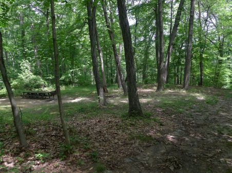 Enlarge photo 119