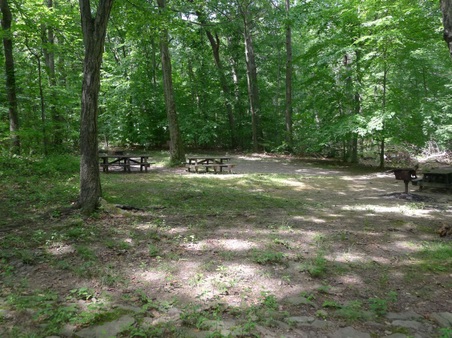 Enlarge photo 120