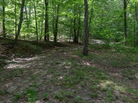 Enlarge photo 121