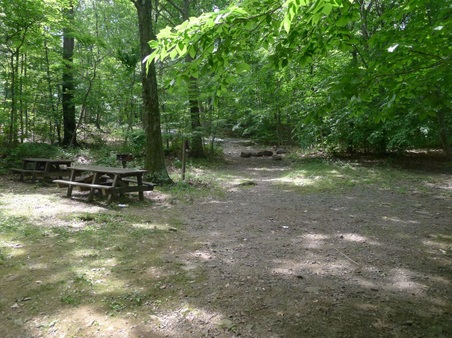 Enlarge photo 122
