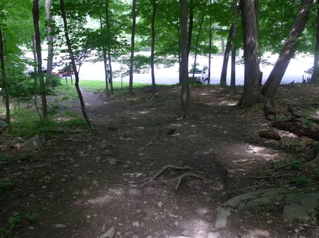 Enlarge photo 126