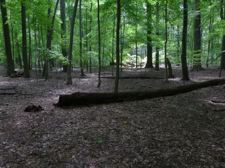 Enlarge photo 134