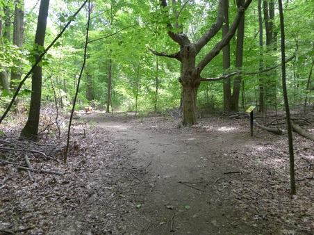 Enlarge photo 137