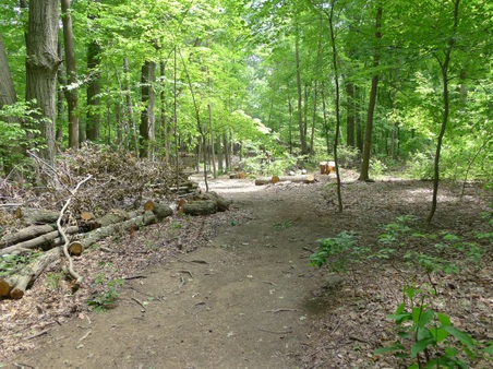 Enlarge photo 139