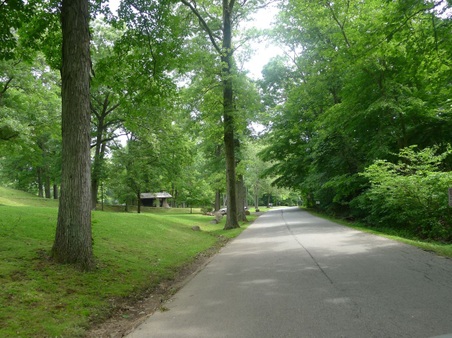 Enlarge photo 142