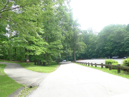 Enlarge photo 147