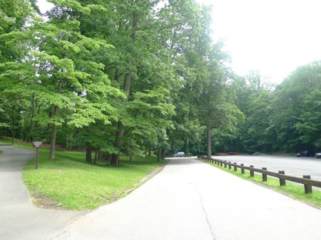 Enlarge photo 151