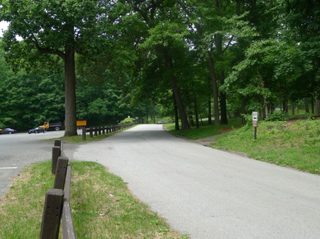 Enlarge photo 153
