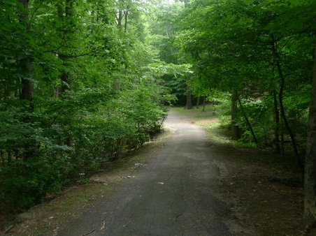 Enlarge photo 157