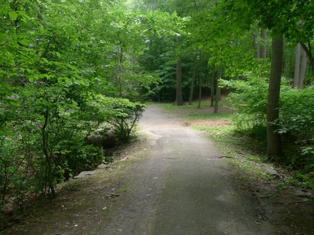 Enlarge photo 159